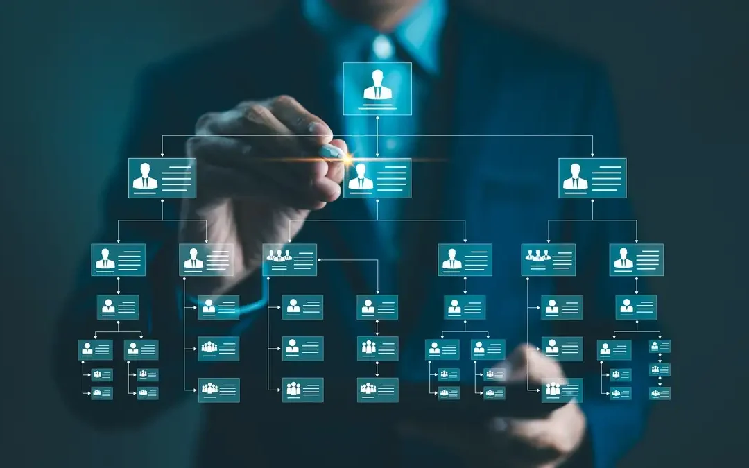 Organigrama firmei: secretul unei echipe organizate și productive